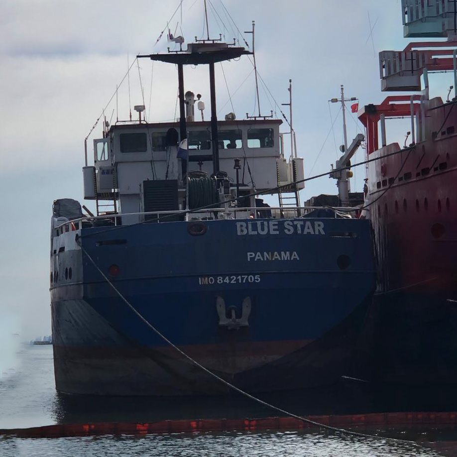 MV Blue Star: Refah ve Birlik Denizlerine Yelken Açmak MOL Turkey